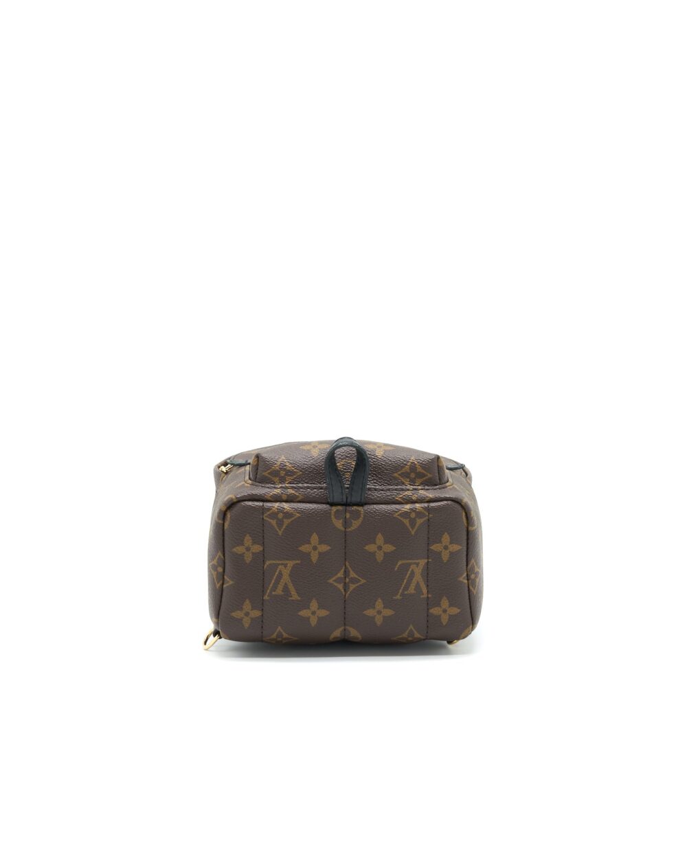 AAA Replica Louis Vuitton LV PALM SPRINGS MINI BACKPACK OLD VERSION
