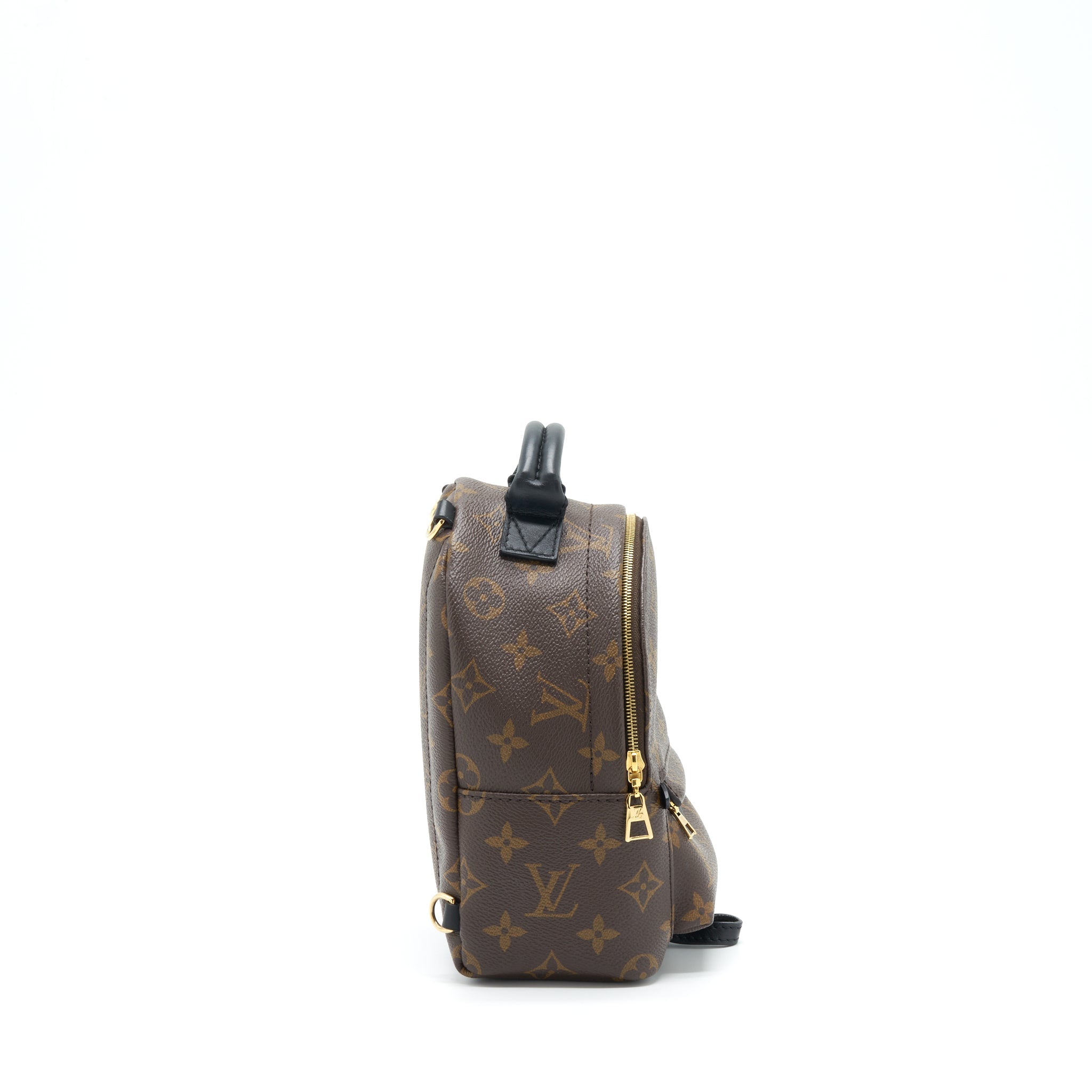 AAA Replica Louis Vuitton LV PALM SPRING MINI BACKPACK MONOGRAM CANVAS NEW ZIPPER