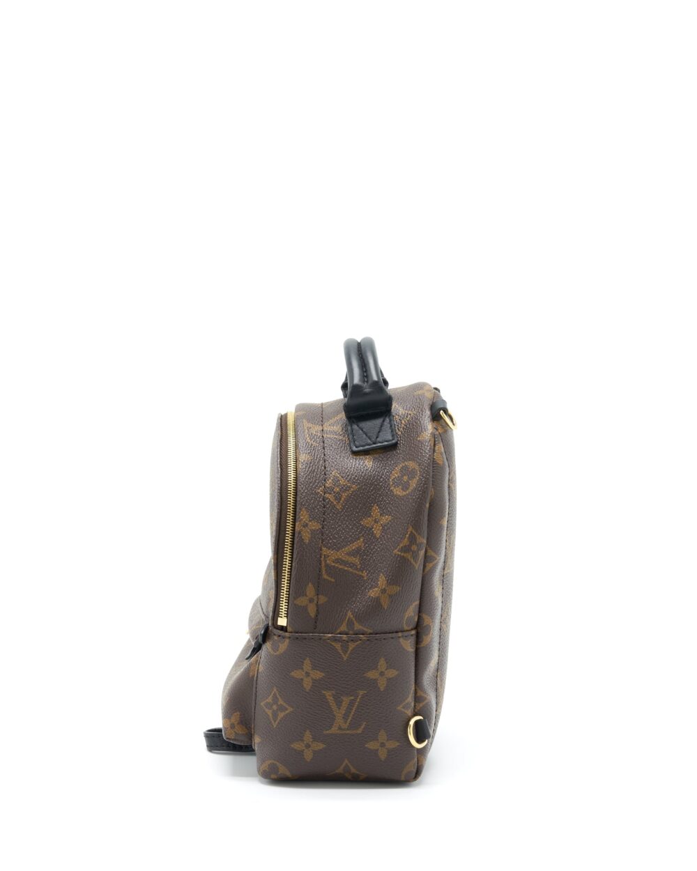 AAA Replica Louis Vuitton LV PALM SPRING MINI BACKPACK MONOGRAM CANVAS NEW ZIPPER