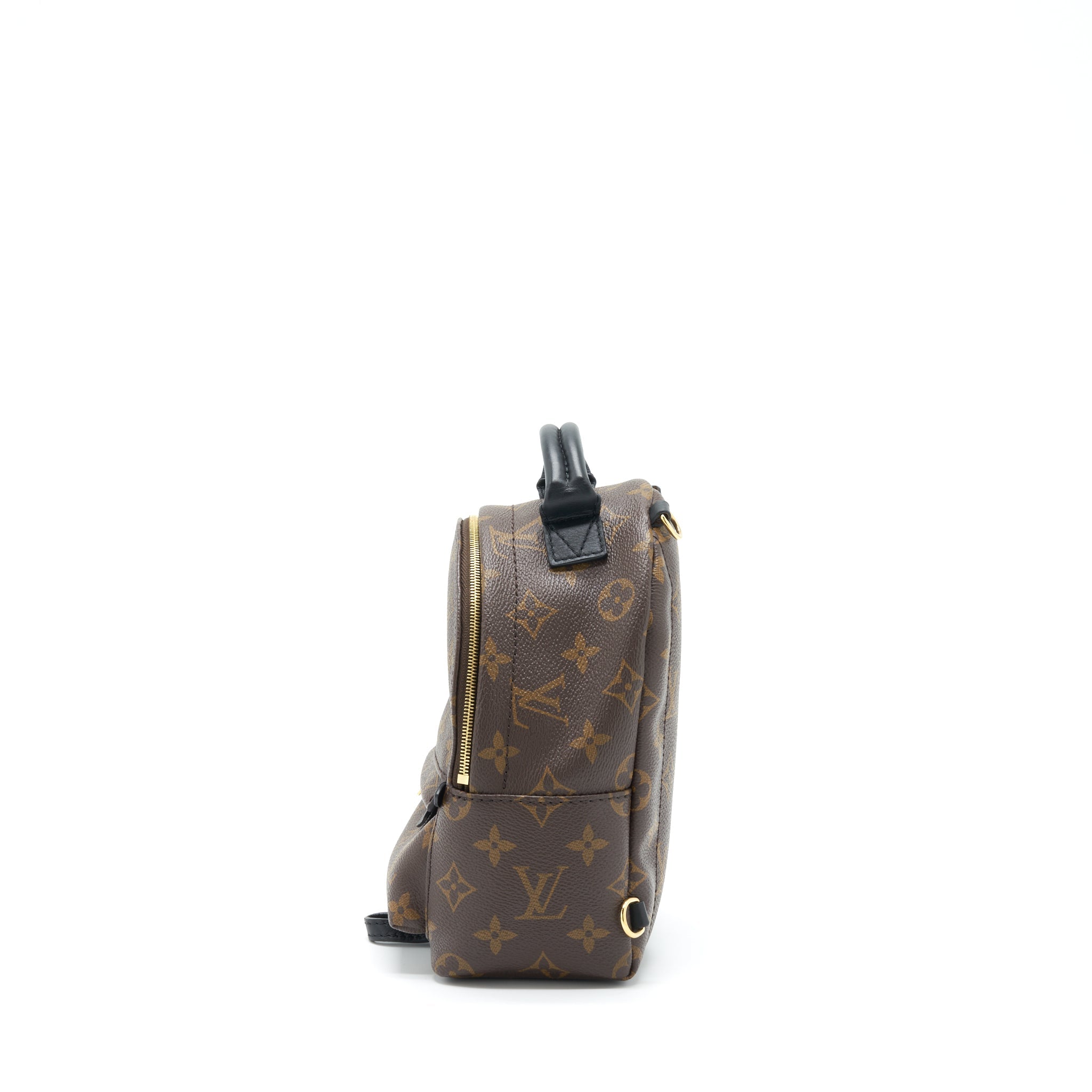 AAA Replica Louis Vuitton LV PALM SPRING MINI BACKPACK MONOGRAM CANVAS NEW ZIPPER