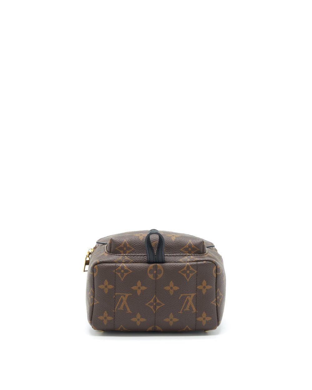 AAA Replica Louis Vuitton LV PALM SPRING MINI BACKPACK MONOGRAM CANVAS NEW ZIPPER