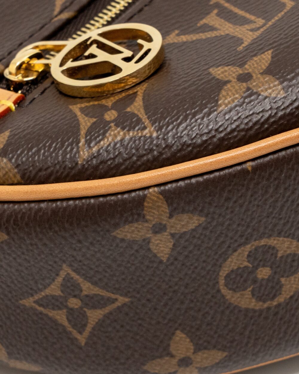 AAA Replica Louis Vuitton LV LOOP BAG MONOGRAM CANVAS GHW