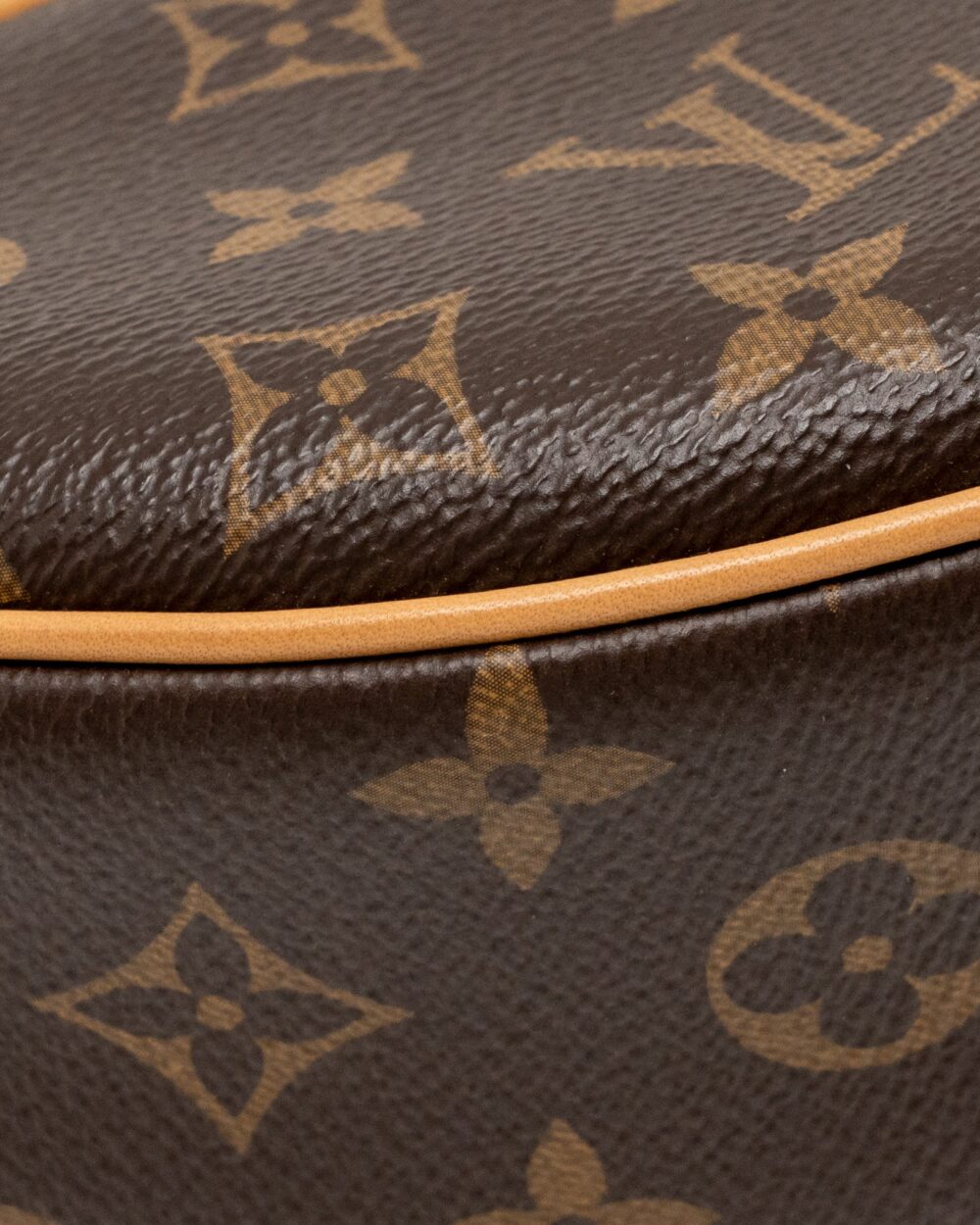 AAA Replica Louis Vuitton LV LOOP BAG MONOGRAM CANVAS GHW