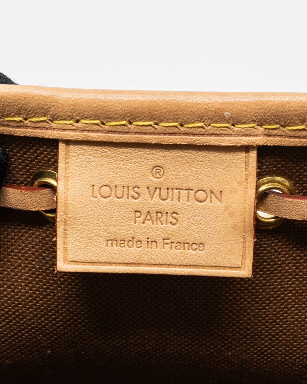 AAA Replica Louis Vuitton LV NANO NOE MONOGRAM CANVAS GHW