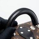 AAA Replica Louis Vuitton LV CAMERA BOX SHOULDER BAG MONOGRAM CANVAS SHW