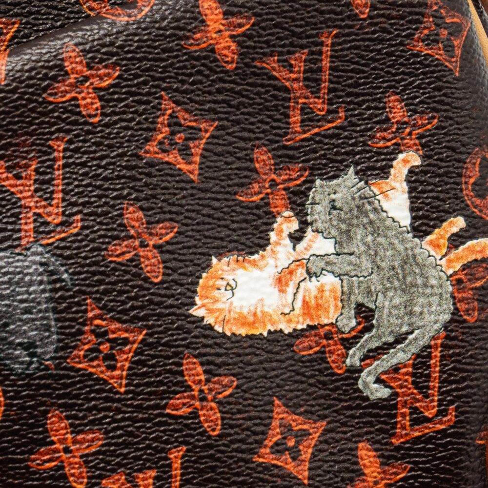 AAA Replica Louis Vuitton LV CATOGRAM PANAME SET MONOGRAM CANVAS MULTICOLOUR GHW