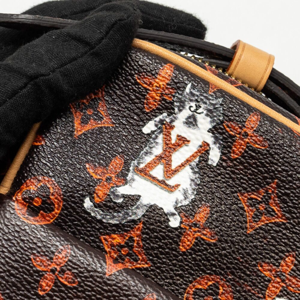 AAA Replica Louis Vuitton LV CATOGRAM PANAME SET MONOGRAM CANVAS MULTICOLOUR GHW