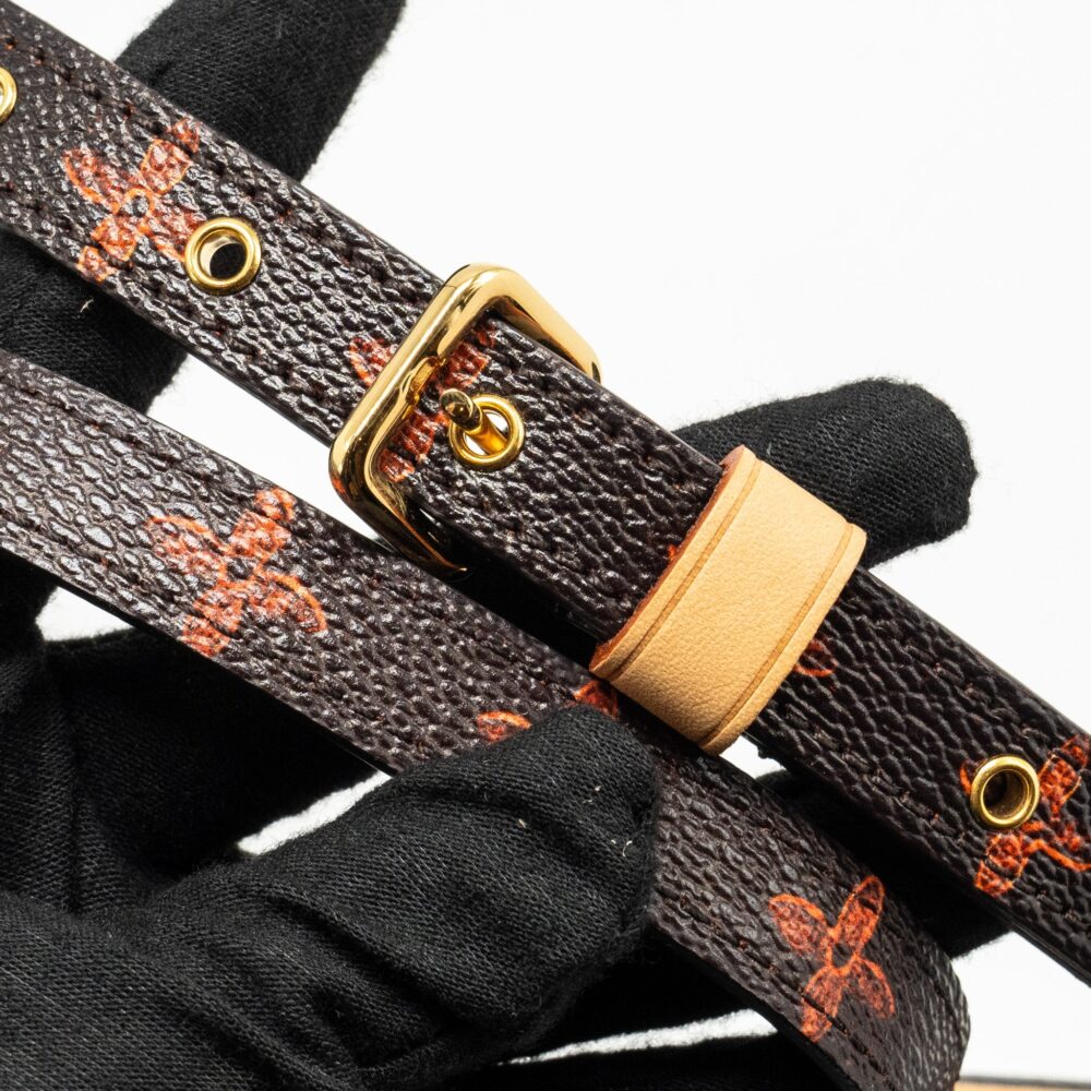 AAA Replica Louis Vuitton LV CATOGRAM PANAME SET MONOGRAM CANVAS MULTICOLOUR GHW