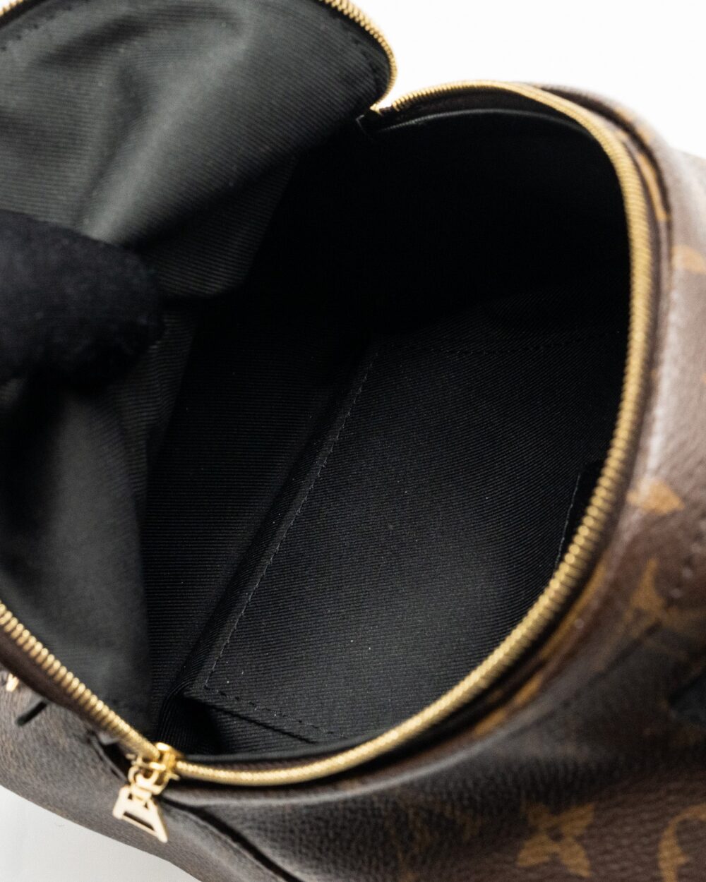 AAA Replica Louis Vuitton LV MINI PALM SPRING BACKPACK MONOGRAM CANVAS GHW
