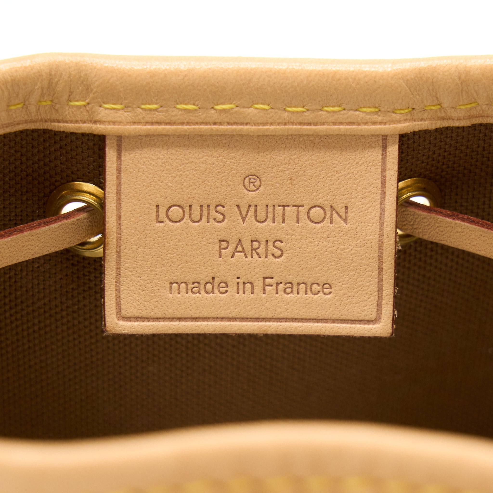 AAA Replica Louis Vuitton LV NANO NOE MONOGRAM CANVAS GHW
