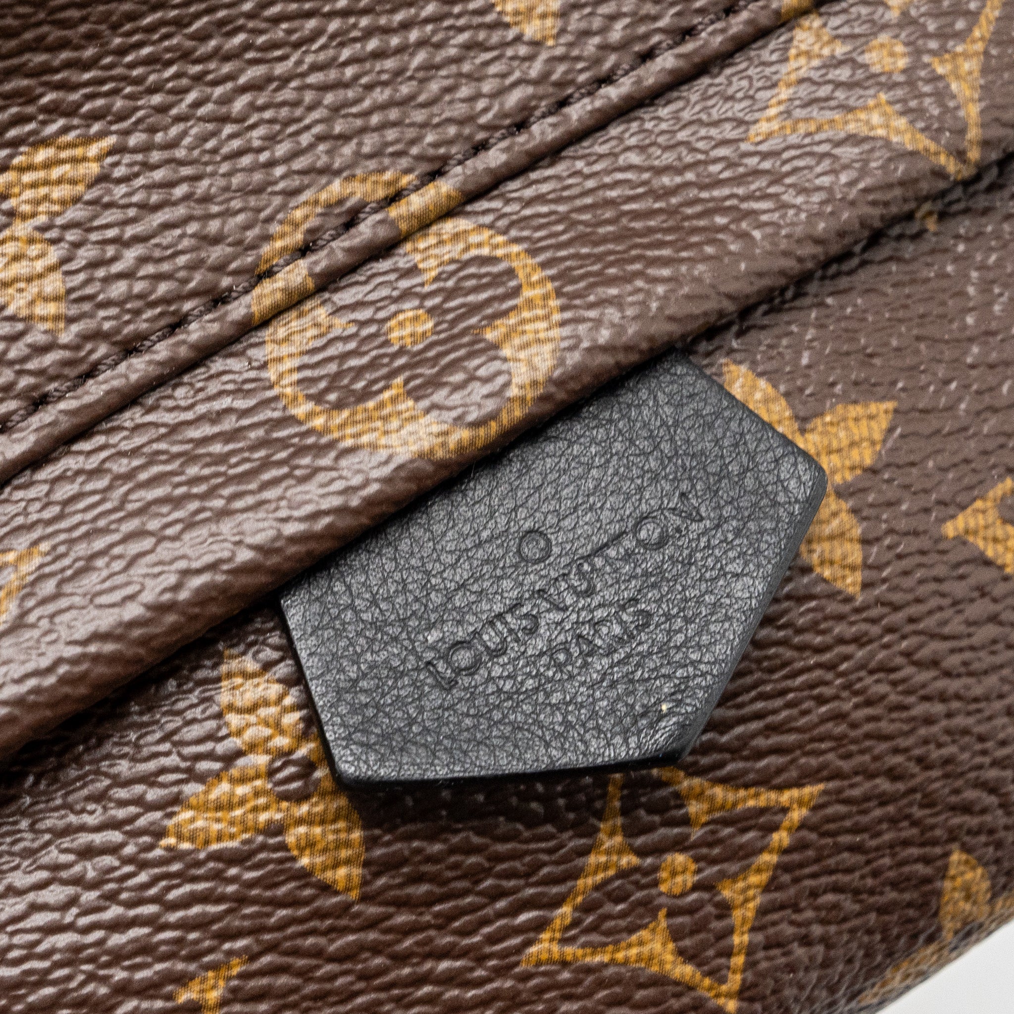 AAA Replica Louis Vuitton LV MINI PALM SPRING BACKPACK MONOGRAM CANVAS GHW