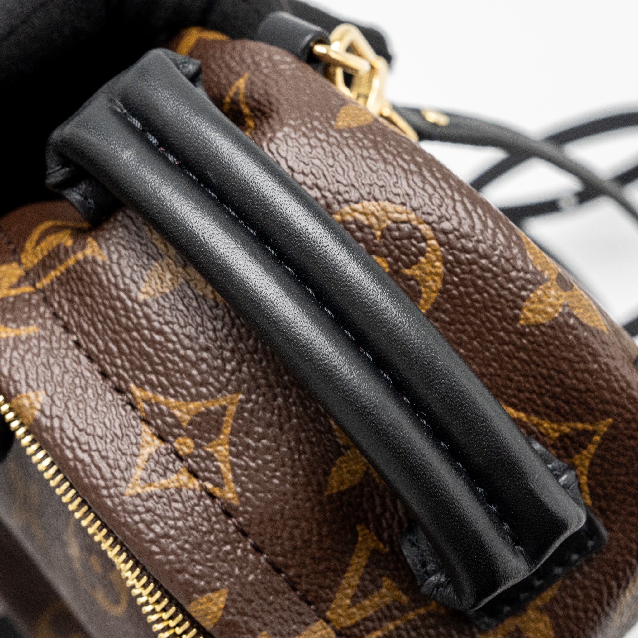 AAA Replica Louis Vuitton LV MINI PALM SPRING BACKPACK MONOGRAM CANVAS GHW