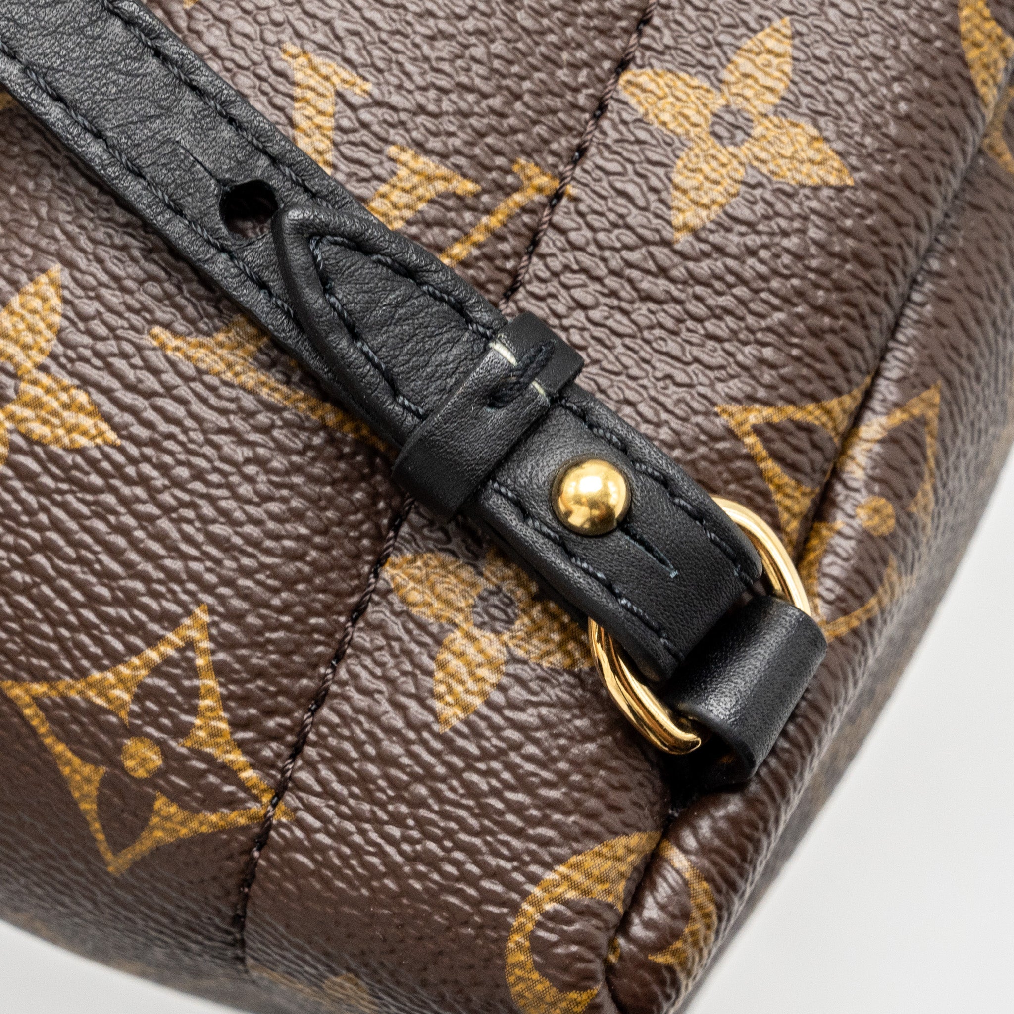 AAA Replica Louis Vuitton LV MINI PALM SPRING BACKPACK MONOGRAM CANVAS GHW