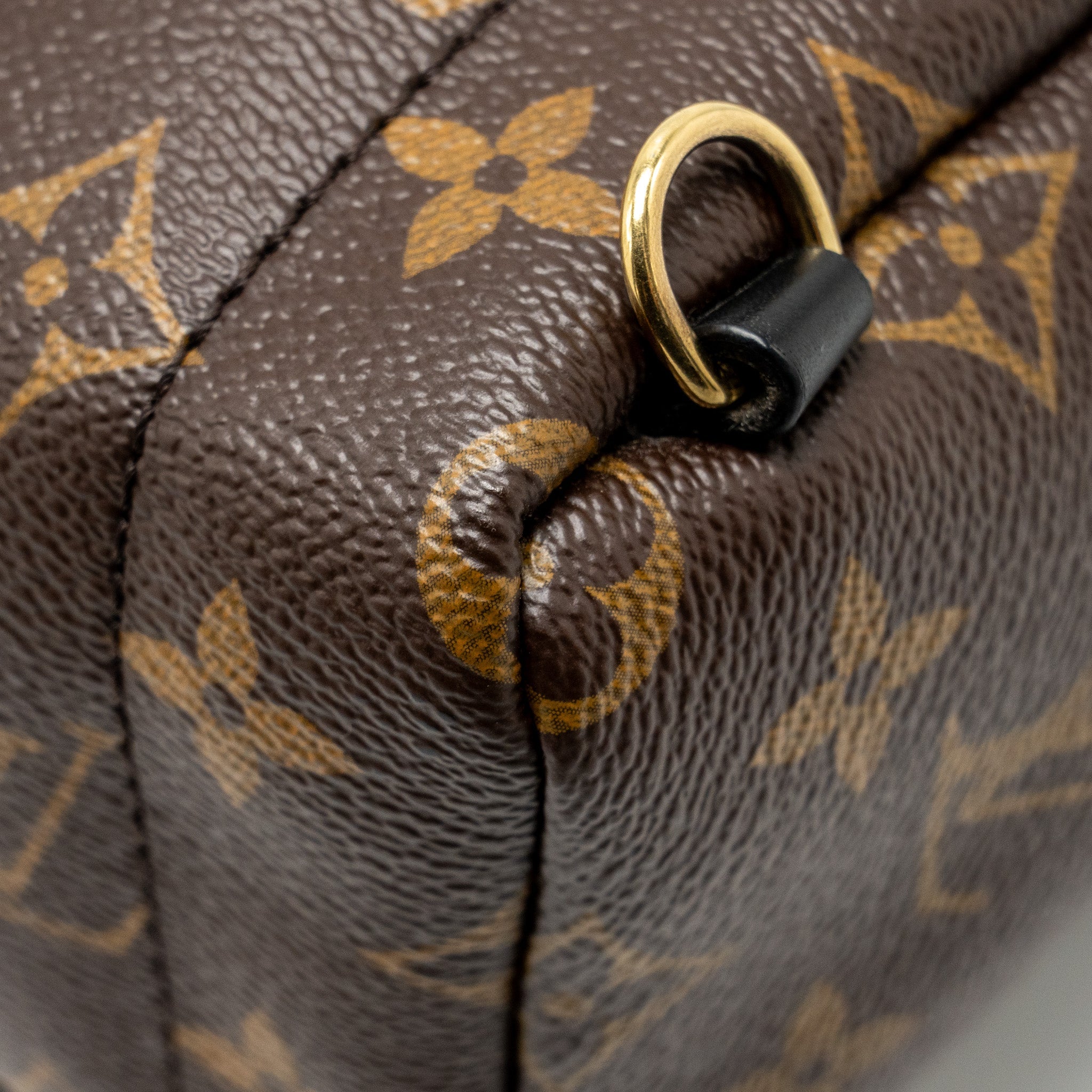 AAA Replica Louis Vuitton LV PALM SPRING MINI BACKPACK MONOGRAM CANVAS GHW