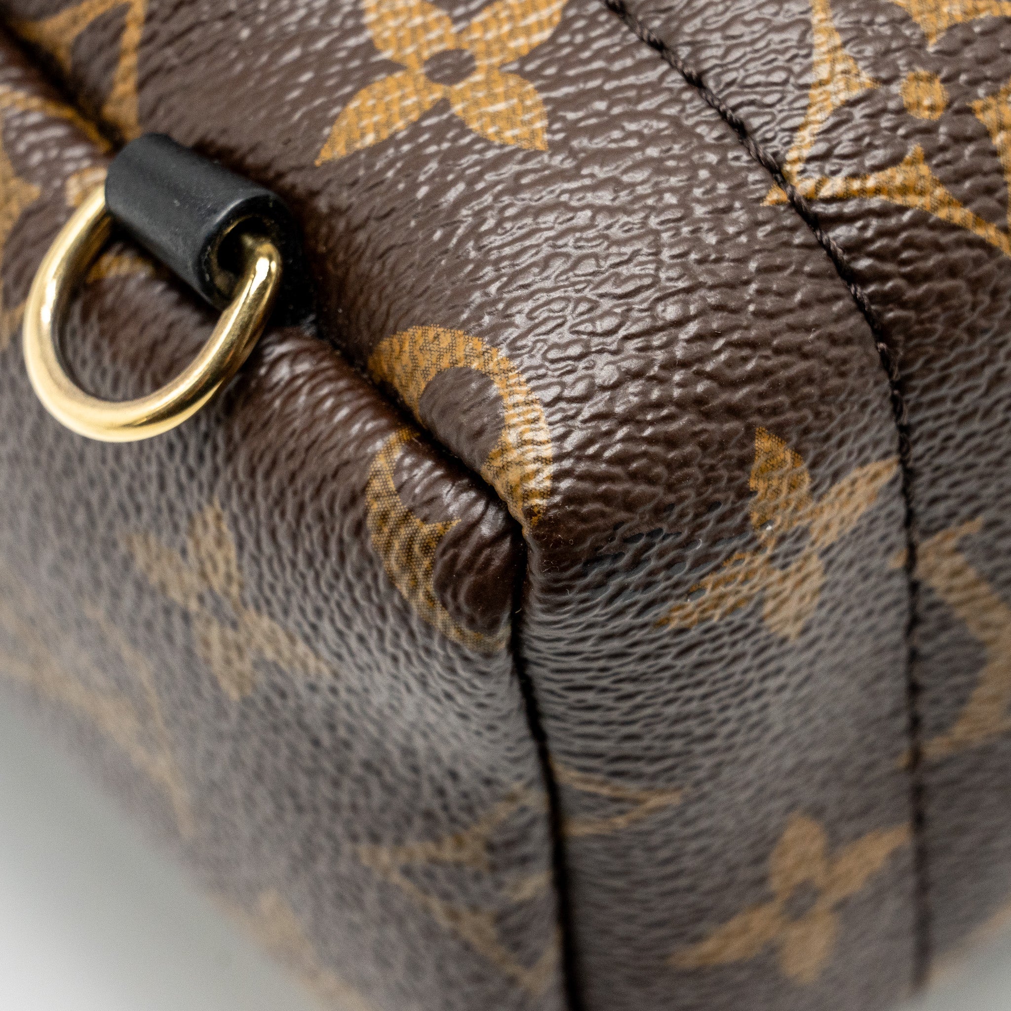AAA Replica Louis Vuitton LV PALM SPRING MINI BACKPACK MONOGRAM CANVAS GHW