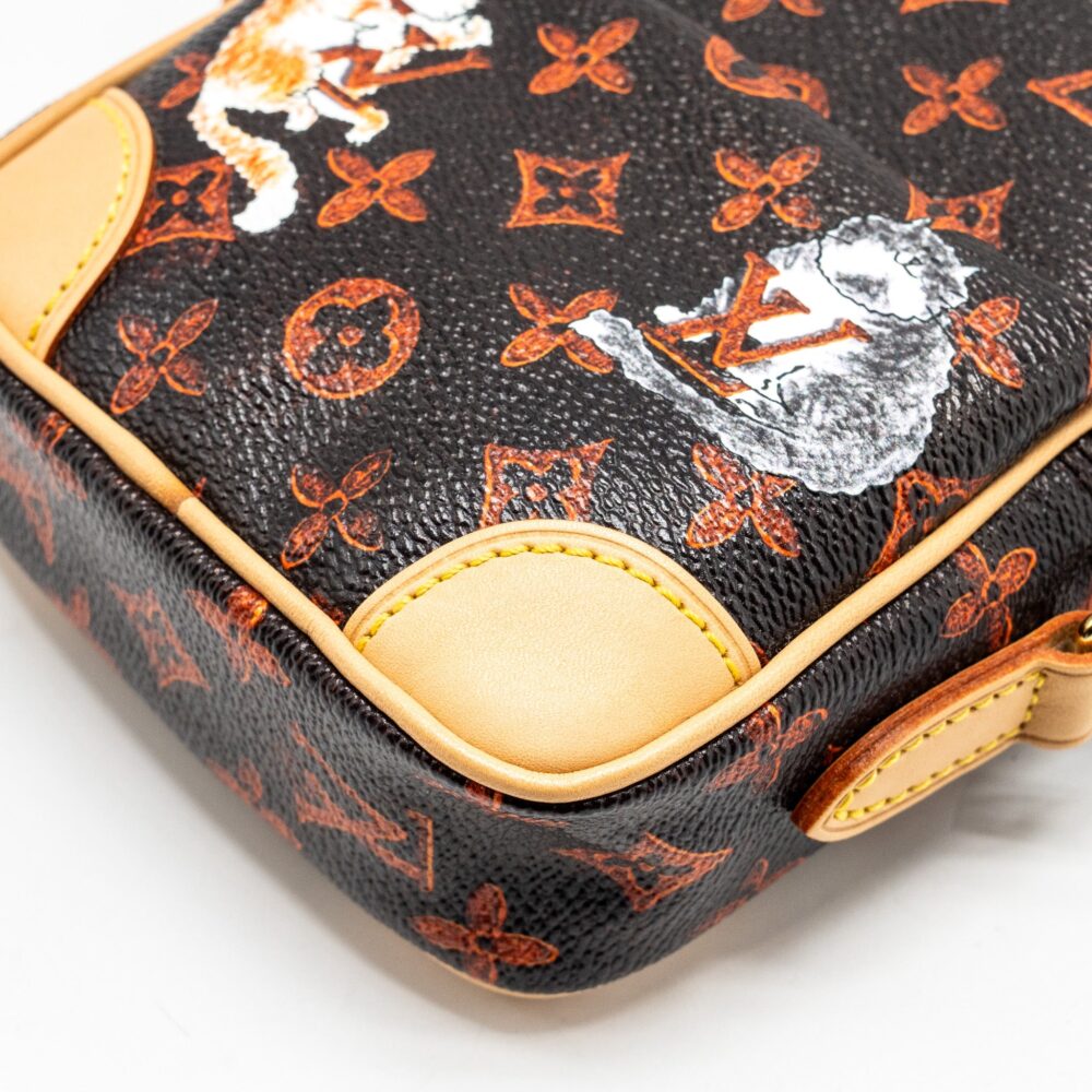 AAA Replica Louis Vuitton LV CATOGRAM PANAME SET MONOGRAM CANVAS MULTICOLOUR GHW