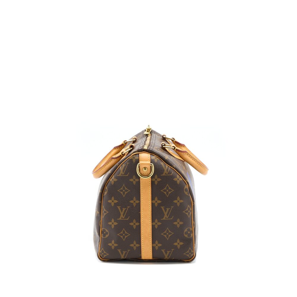 AAA Replica Louis Vuitton LV SPEEDY 30 LIMITED EDITION MONOGRAM CANVAS GHW