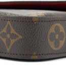 AAA Replica Louis Vuitton LV FELICIE POCHETTE LIMITED EDITION MONOGRAM CANVAS GHW