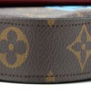 AAA Replica Louis Vuitton LV FELICIE POCHETTE LIMITED EDITION MONOGRAM CANVAS GHW
