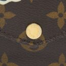 AAA Replica Louis Vuitton LV FELICIE POCHETTE LIMITED EDITION MONOGRAM CANVAS GHW