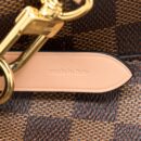 AAA Replica Louis Vuitton LV NEONOE DAMIER EBENE CANVAS VENUS GHW (NEW VERSION)