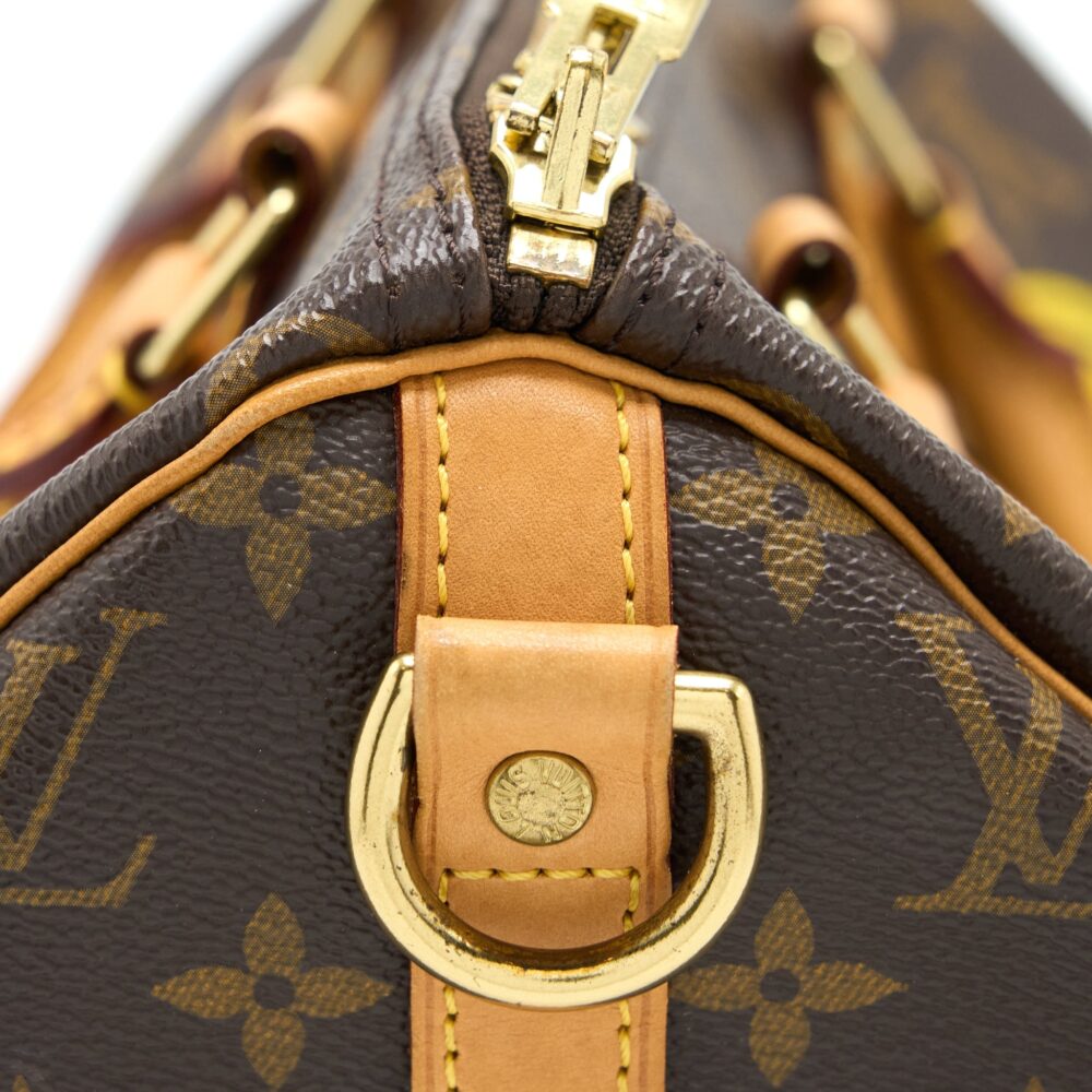 AAA Replica Louis Vuitton LV SPEEDY 30 LIMITED EDITION MONOGRAM CANVAS GHW