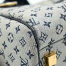 AAA Replica Louis Vuitton LV JOSEPHINE PM MONOGRAM MINI LIN CANVAS GHW