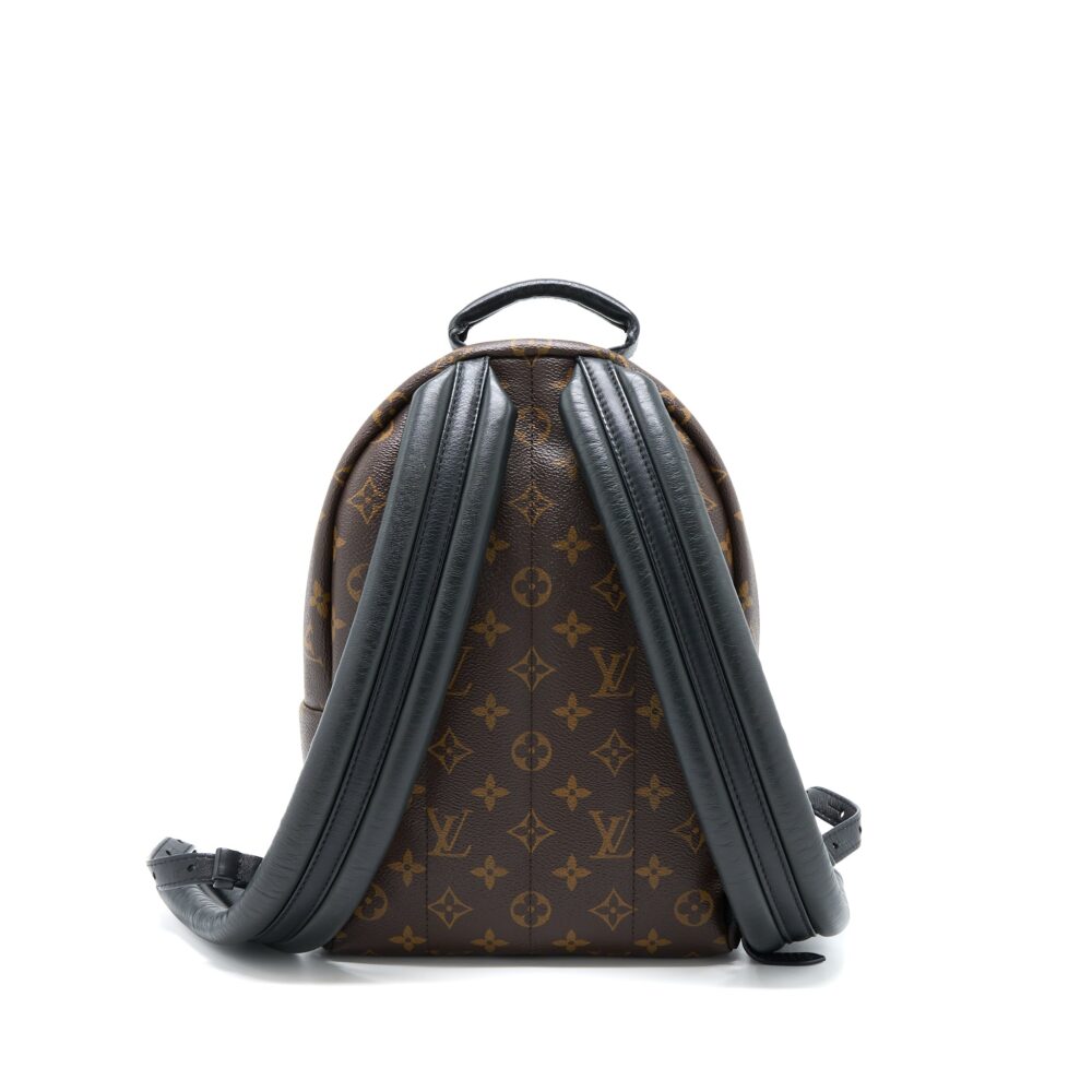 AAA Replica Louis Vuitton LV PALM SPRING PM BACKPACK MONOGRAM CANVAS GHW