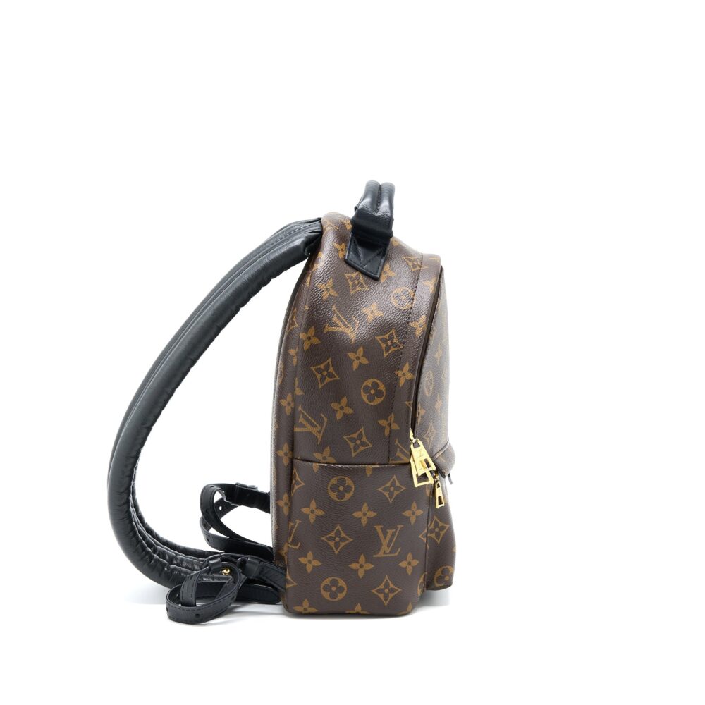 AAA Replica Louis Vuitton LV PALM SPRING PM BACKPACK MONOGRAM CANVAS GHW