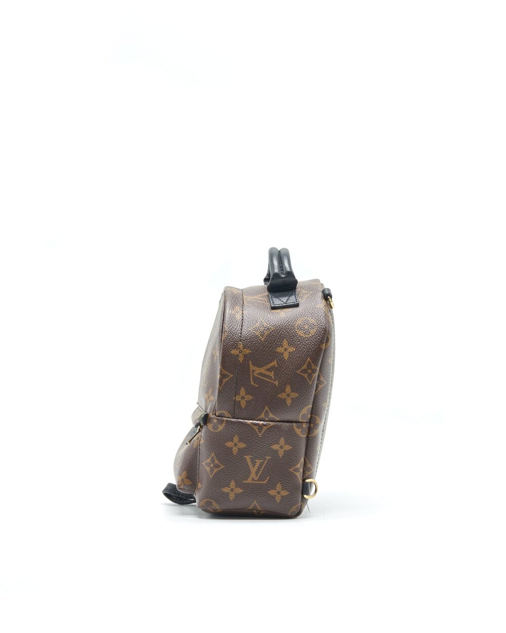 AAA Replica Louis Vuitton LV PALM SPRINGS MINI MONOGRAM CANVAS