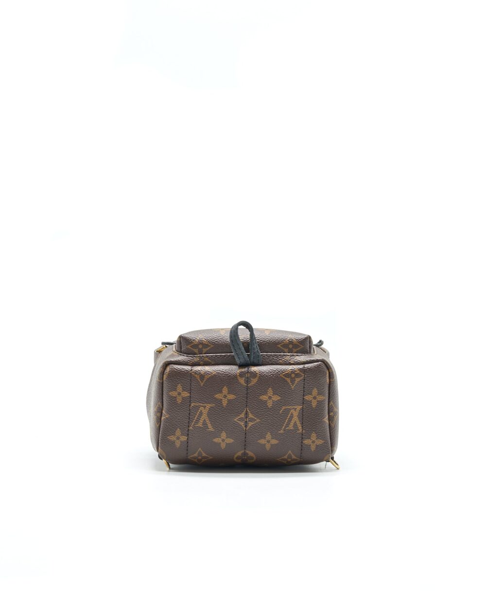 AAA Replica Louis Vuitton LV PALM SPRINGS MINI MONOGRAM CANVAS