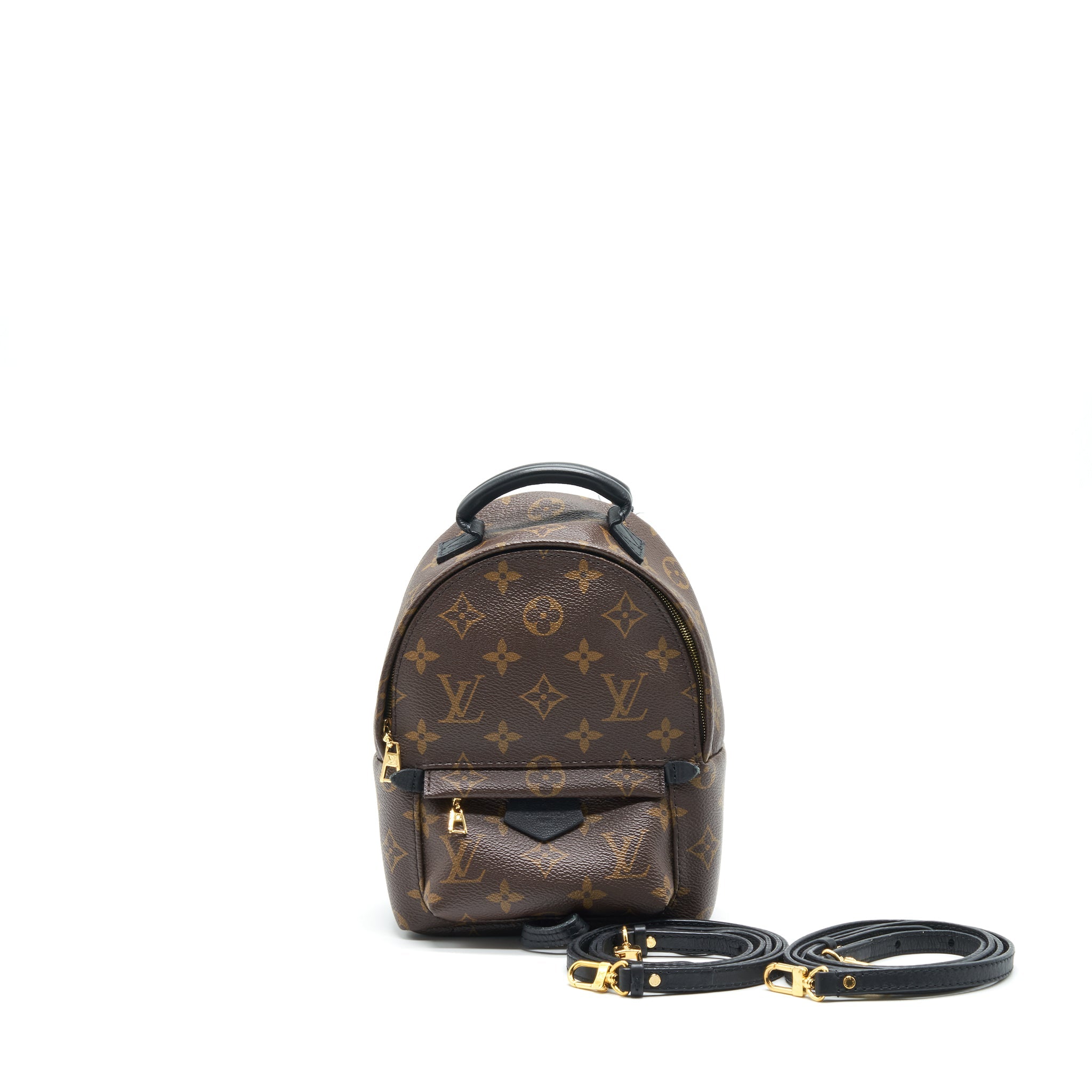 AAA Replica Louis Vuitton LV LOUIS VUITTIN PALM SPRING BACKPACK MINI MONOGRAM CANVAS