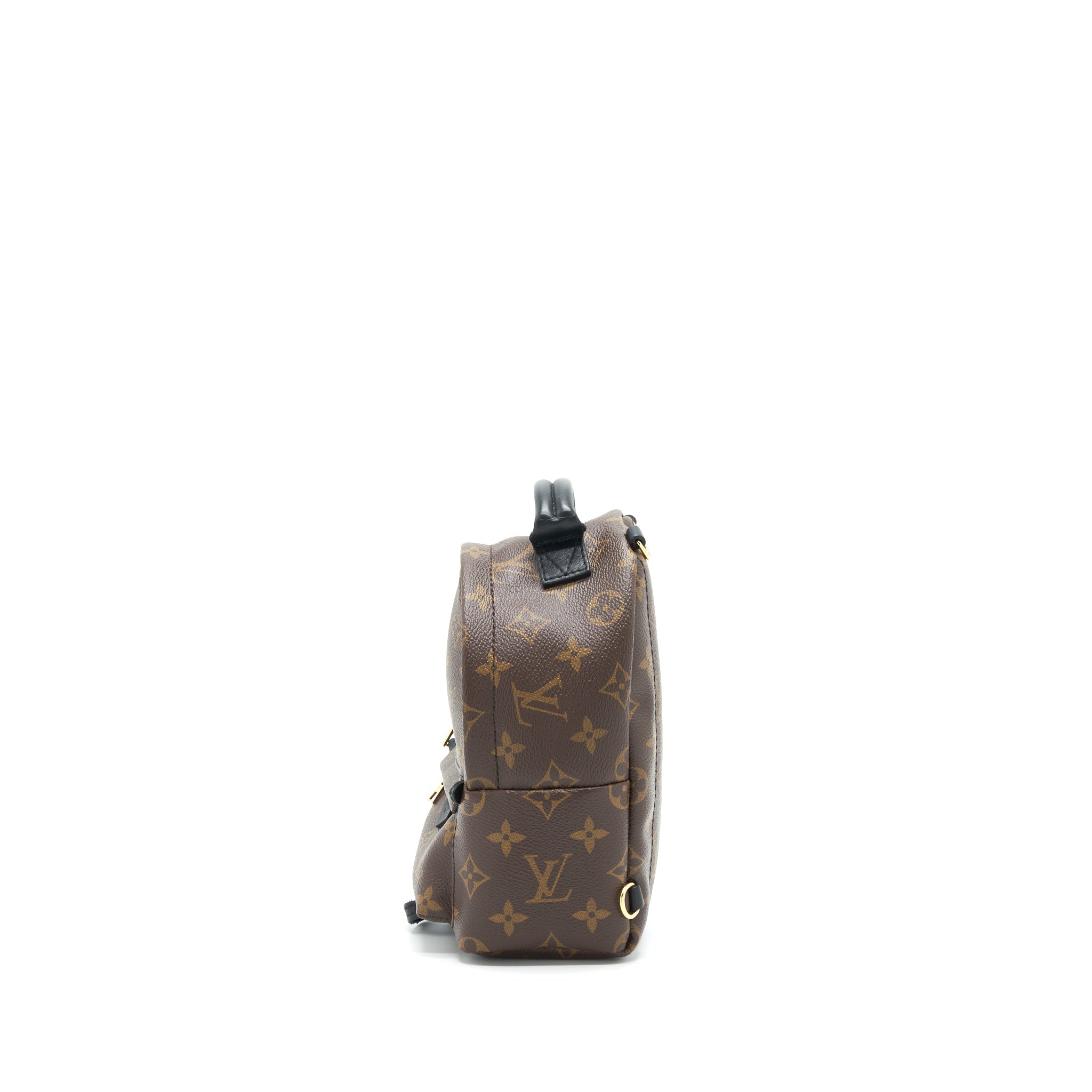AAA Replica Louis Vuitton LV LOUIS VUITTIN PALM SPRING BACKPACK MINI MONOGRAM CANVAS