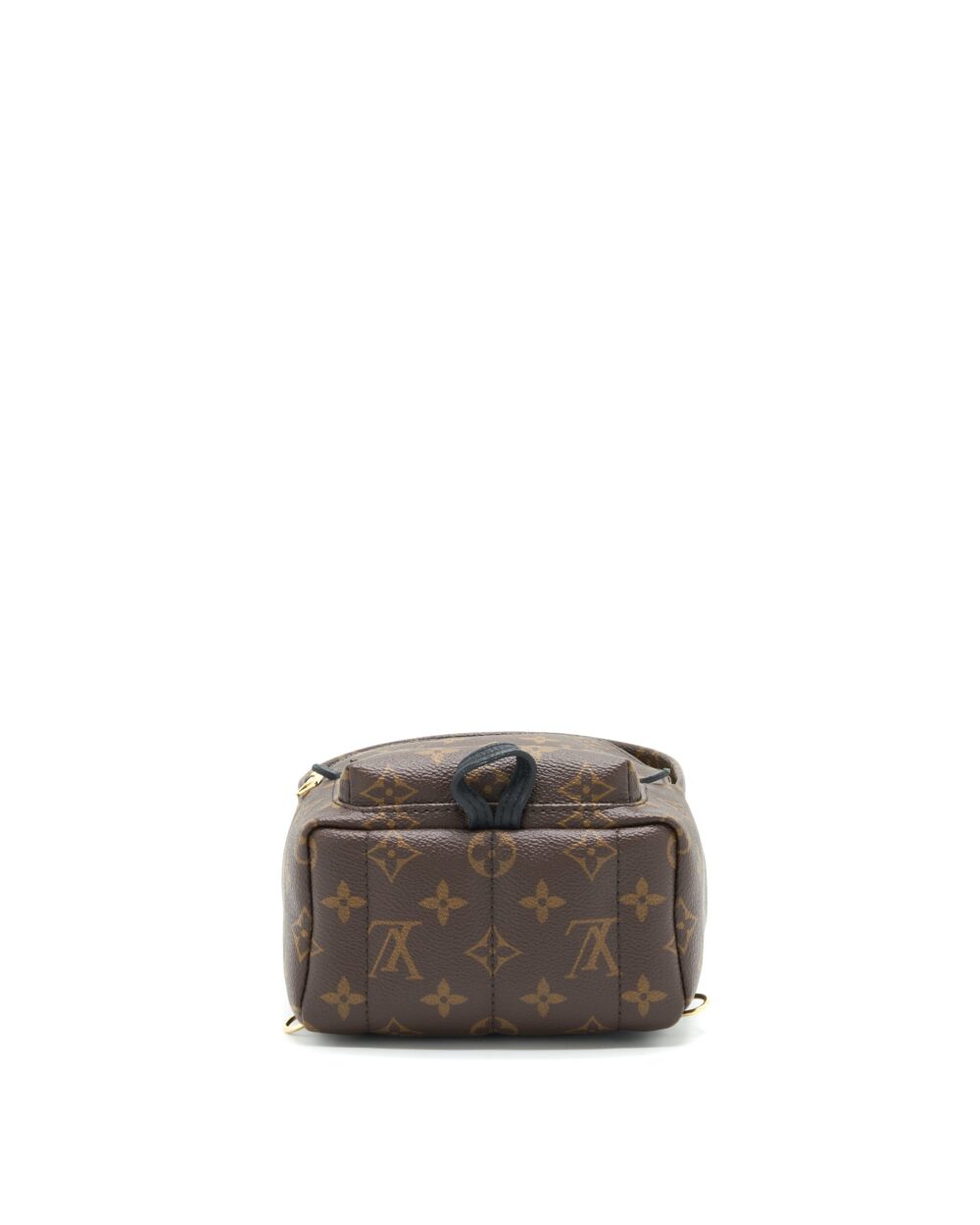 AAA Replica Louis Vuitton LV LOUIS VUITTIN PALM SPRING BACKPACK MINI MONOGRAM CANVAS