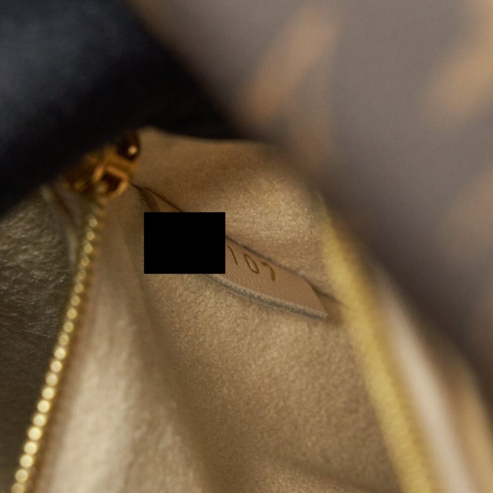 AAA Replica Louis Vuitton LV DOUBLE V BAG CREME