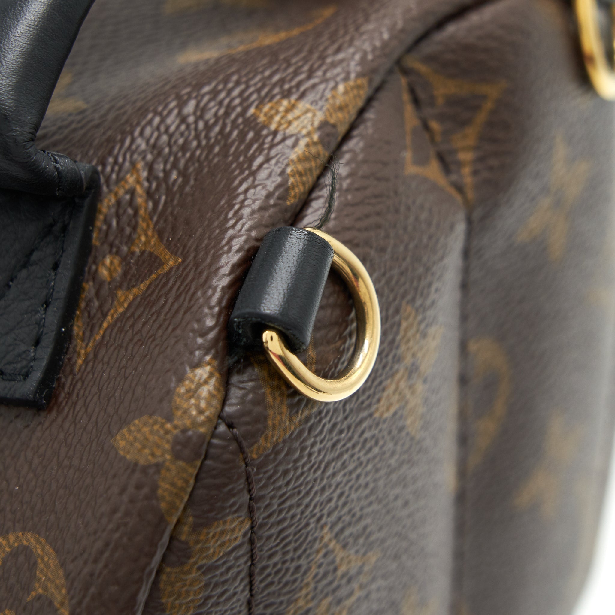 AAA Replica Louis Vuitton LV LOUIS VUITTIN PALM SPRING BACKPACK MINI MONOGRAM CANVAS