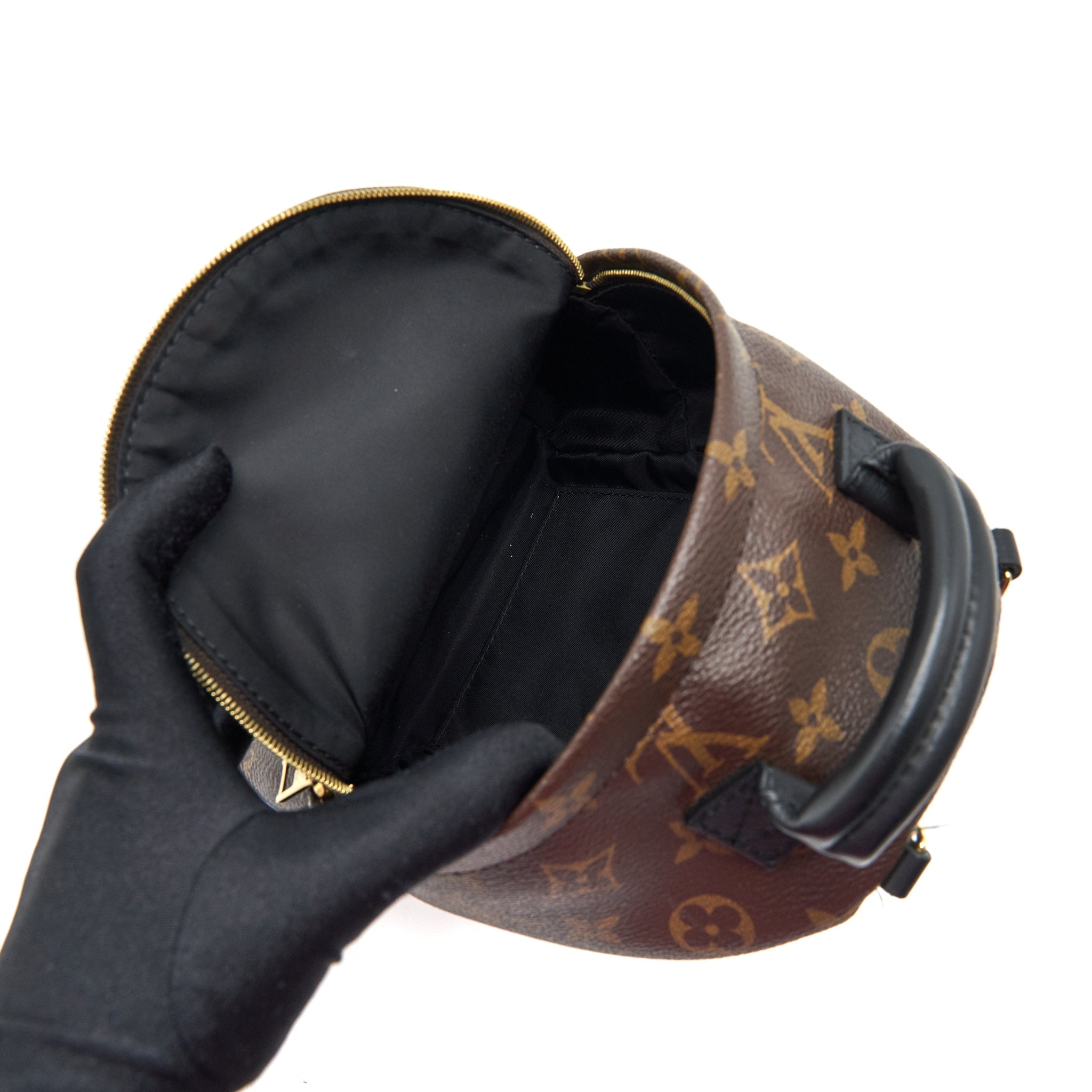 AAA Replica Louis Vuitton LV LOUIS VUITTIN PALM SPRING BACKPACK MINI MONOGRAM CANVAS