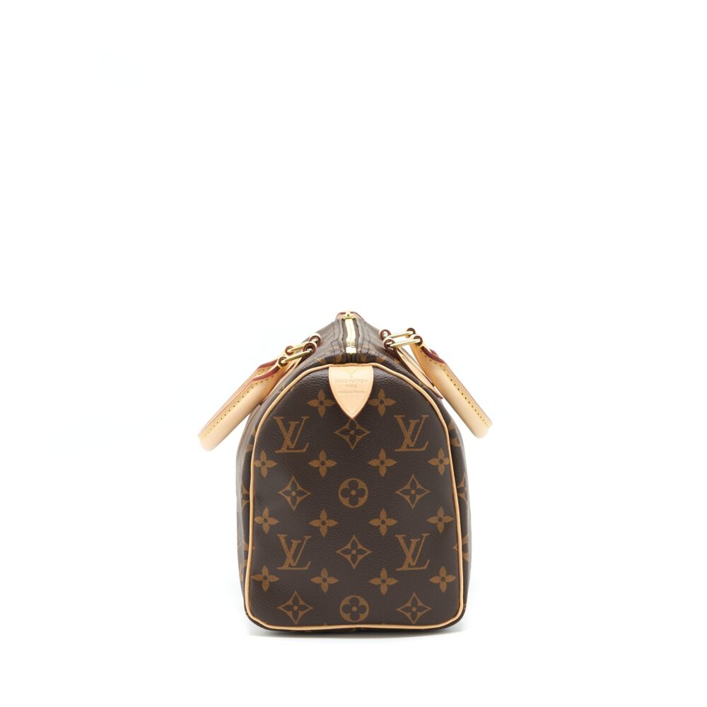 AAA Replica Louis Vuitton LV SPEEDY 25 MONOGRAM