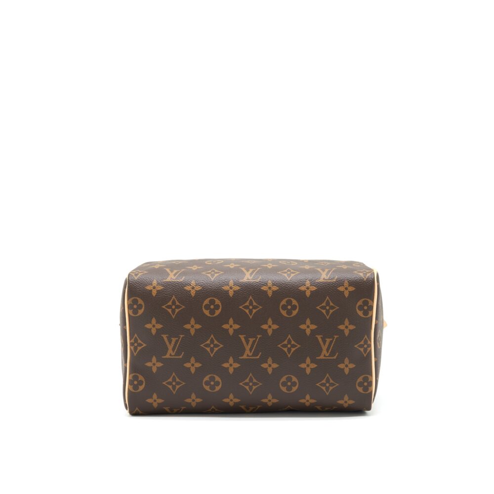 AAA Replica Louis Vuitton LV SPEEDY 25 MONOGRAM