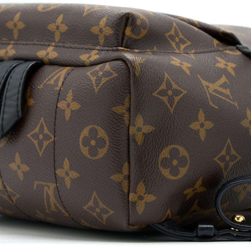 AAA Replica Louis Vuitton LV PALM SPRING PM BACKPACK MONOGRAM CANVAS GHW