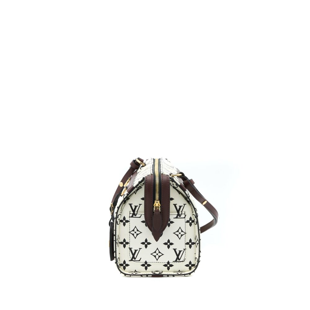 AAA Replica Louis Vuitton LV SPEEDY AMAZON PM BAG MONOGRAM CANVAS MULTICOLOURED GHW
