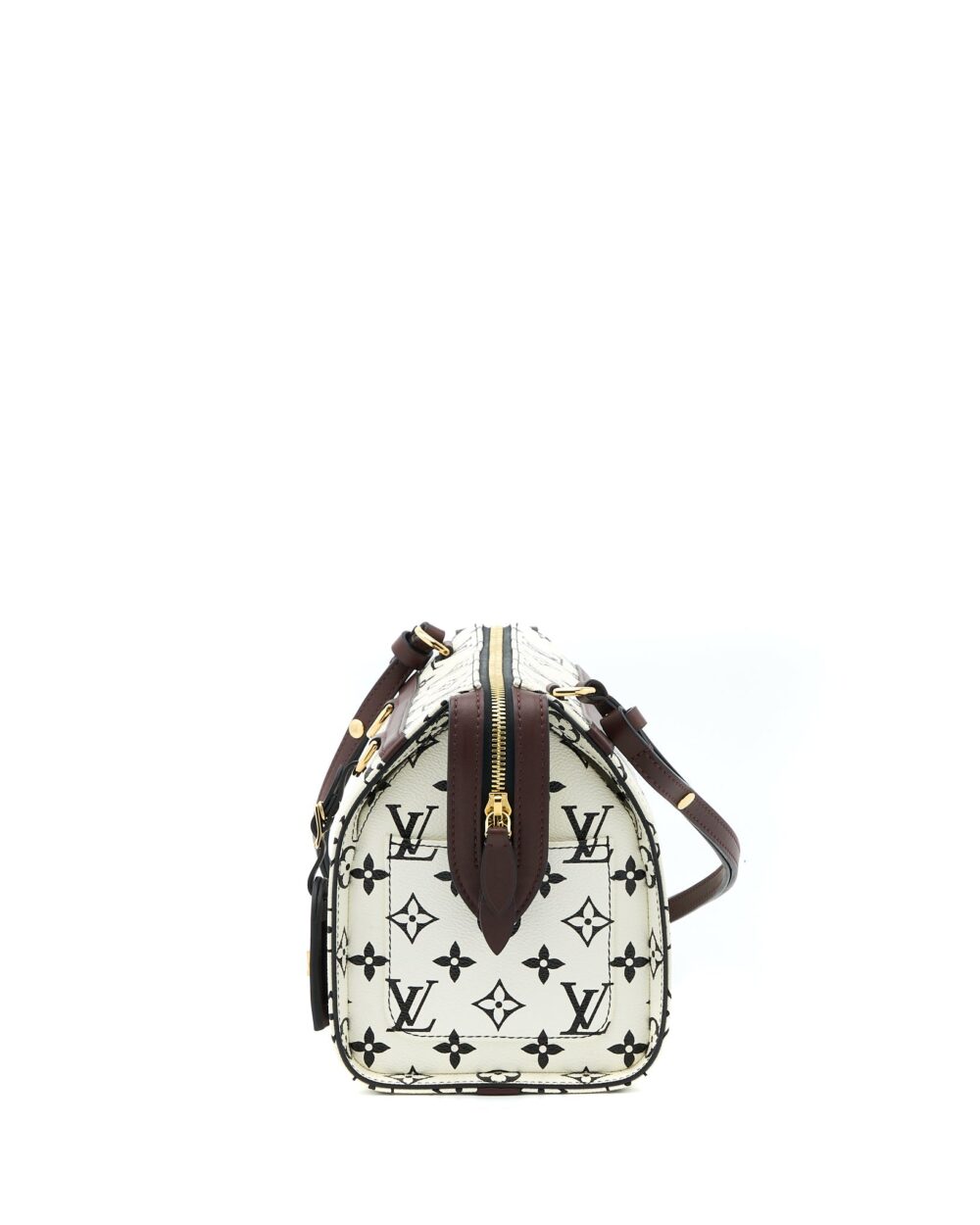 AAA Replica Louis Vuitton LV SPEEDY AMAZON PM BAG MONOGRAM CANVAS MULTICOLOURED GHW