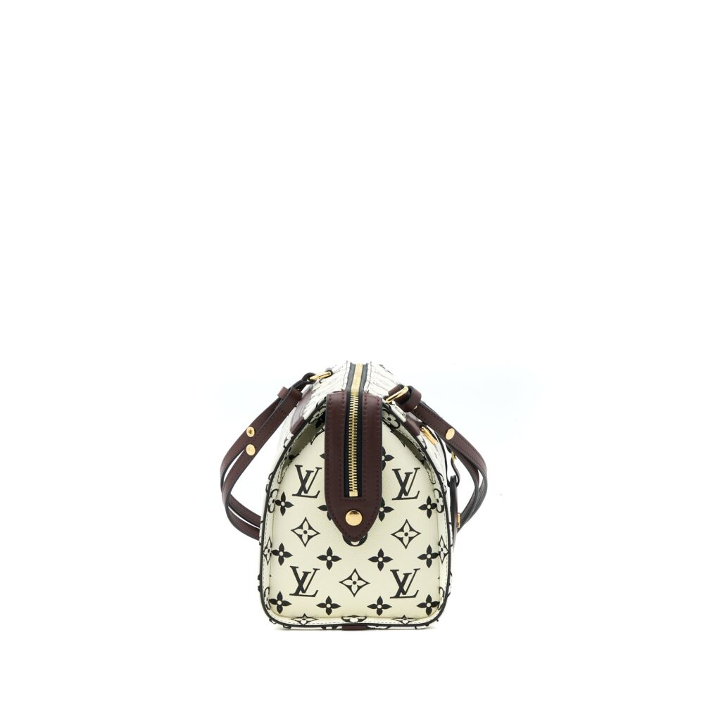 AAA Replica Louis Vuitton LV SPEEDY AMAZON PM BAG MONOGRAM CANVAS MULTICOLOURED GHW