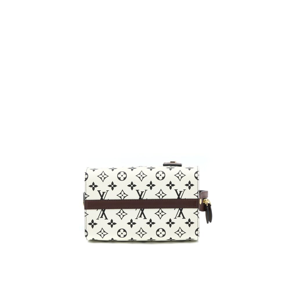 AAA Replica Louis Vuitton LV SPEEDY AMAZON PM BAG MONOGRAM CANVAS MULTICOLOURED GHW