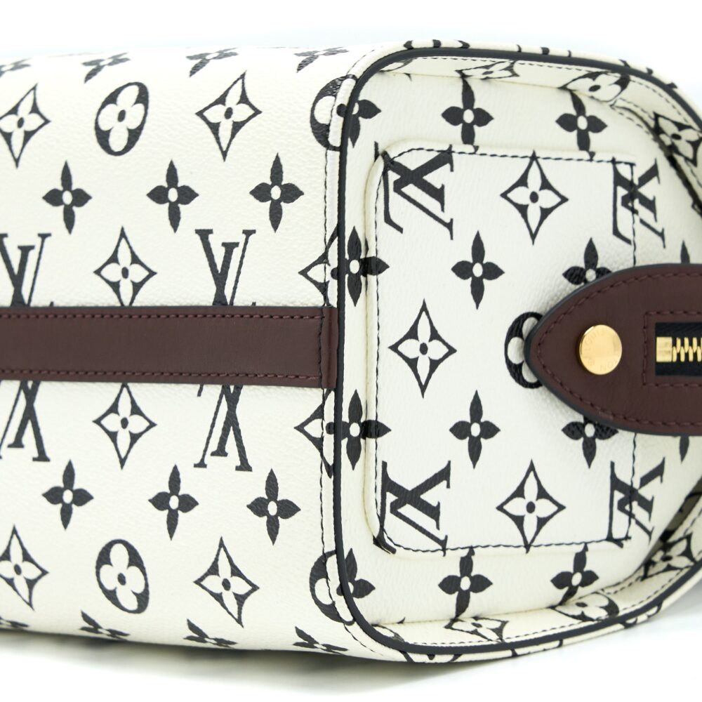 AAA Replica Louis Vuitton LV SPEEDY AMAZON PM BAG MONOGRAM CANVAS MULTICOLOURED GHW