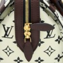 AAA Replica Louis Vuitton LV SPEEDY AMAZON PM BAG MONOGRAM CANVAS MULTICOLOURED GHW