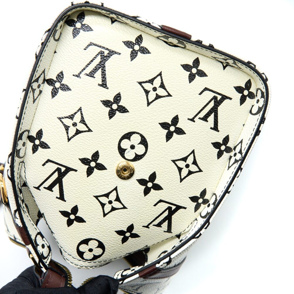 AAA Replica Louis Vuitton LV SPEEDY AMAZON PM BAG MONOGRAM CANVAS MULTICOLOURED GHW