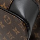 AAA Replica Louis Vuitton LV CHRISTOPHER BACKPACK MONOGRAM MACASSAR CANVAS SHW