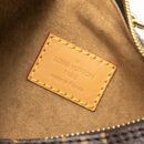 AAA Replica Louis Vuitton LV LOOP BAG MONOGRAM CANVAS GHW