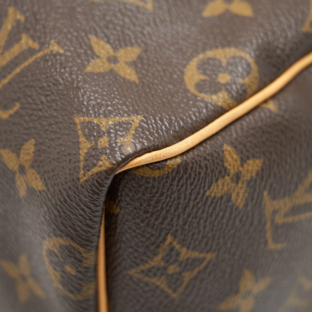 AAA Replica Louis Vuitton LV SPEEDY 25 MONOGRAN CANVAS